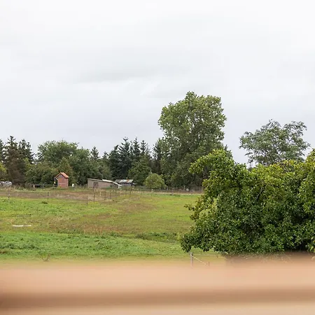 Ferienhaus Sonnenblume_dh